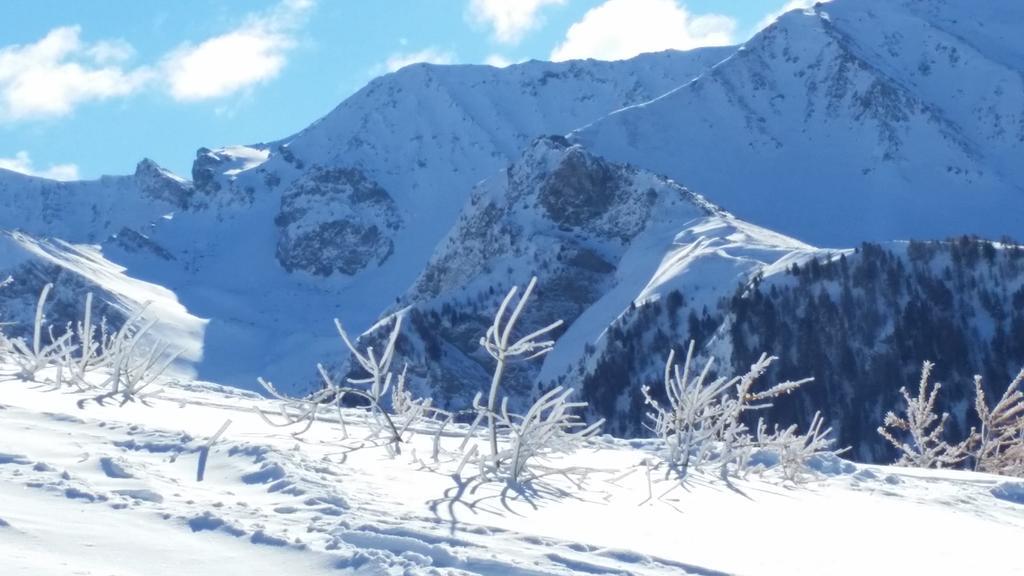 Le Chalet Du Queyras And Spa 莫利涅恩凯拉 外观 照片